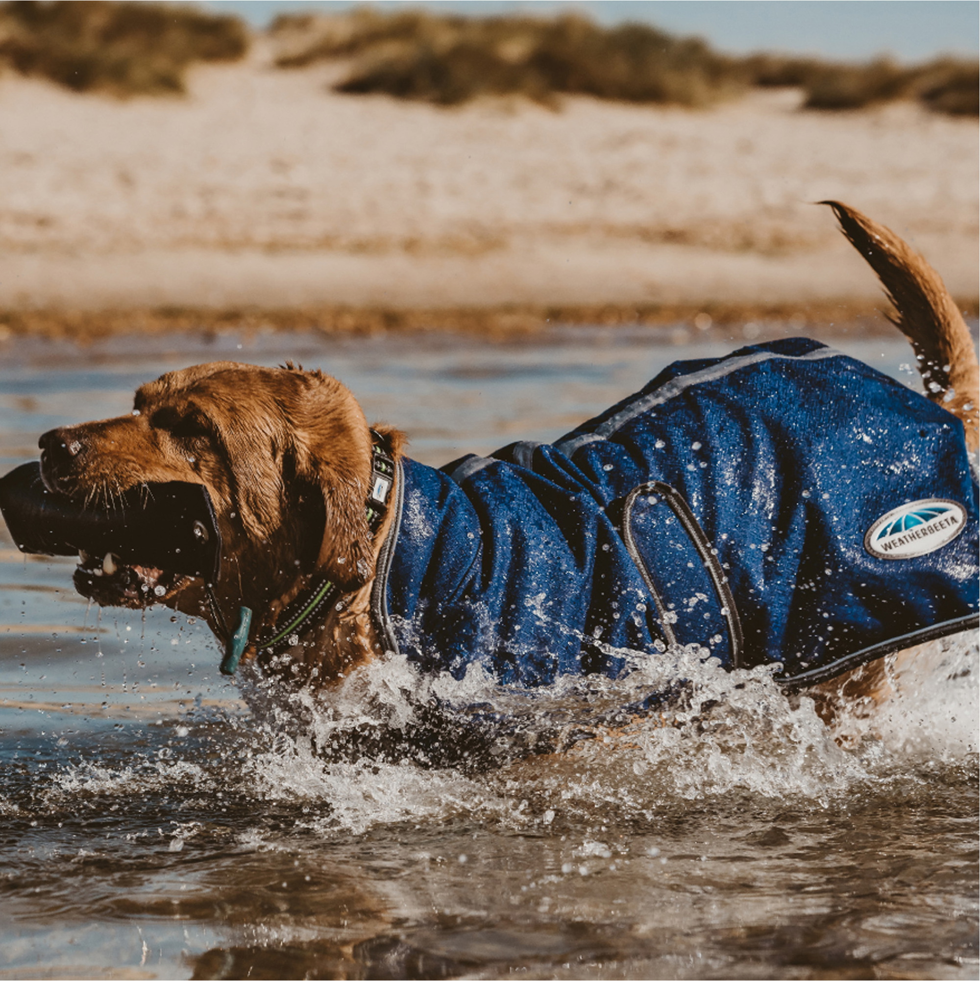 Weatherbeeta Comfitec Premier Free Duo Delux Dog Coat Parka - Dark Blue